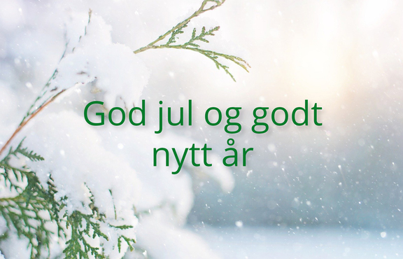 God jul og godt nytt år kopi.jpg